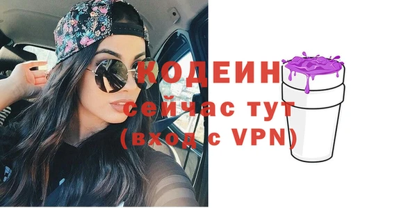 Альфа ПВП Инта