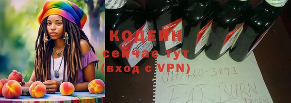 Альфа ПВП Инта