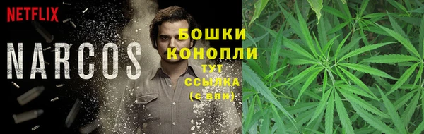 трава Зеленокумск