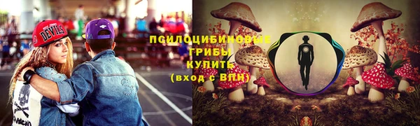бошки Инсар