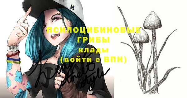 дурь Иннополис