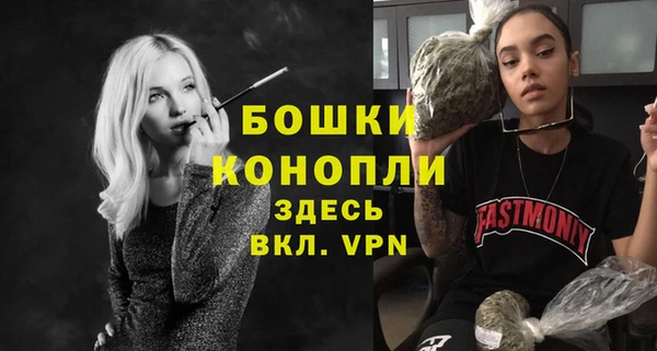 Альфа ПВП Инта