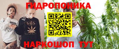 ГАЛЛЮЦИНОГЕННЫЕ ГРИБЫ Гусь-Хрустальный