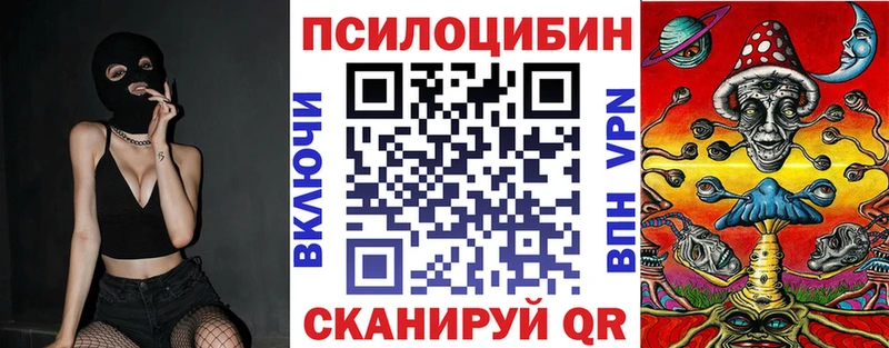 Псилоцибиновые грибы Psilocybe Керчь