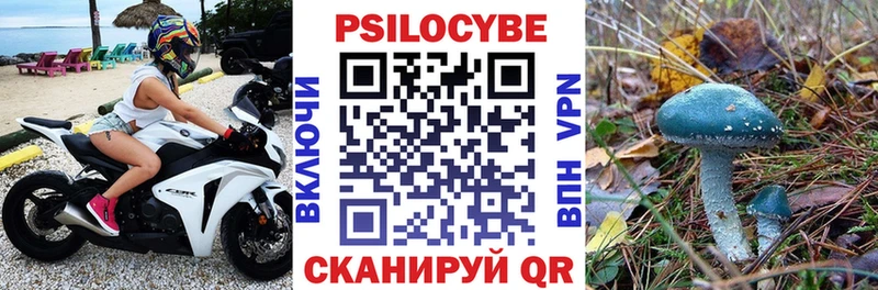 OMG ТОР  Керчь  Псилоцибиновые грибы GOLDEN TEACHER 