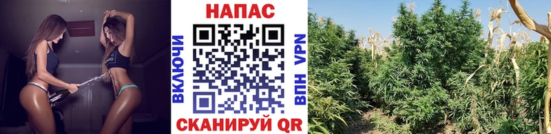 Канабис AK-47  где купить   Керчь 